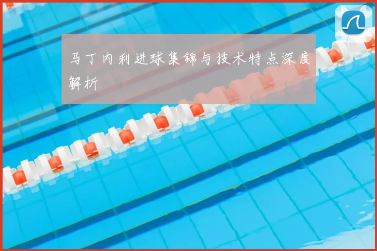 马丁内利进球集锦与技术特点深度解析