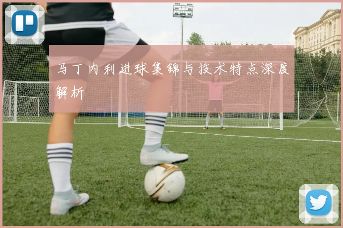 马丁内利进球集锦与技术特点深度解析